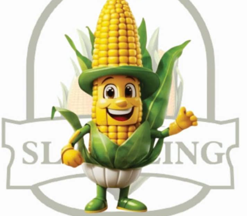 SL Milling Limited
