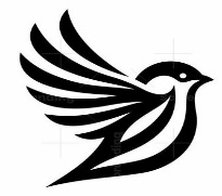 Sparrowlight Cashfin Limited