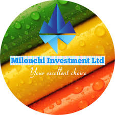 Milonchi Investment Ltd