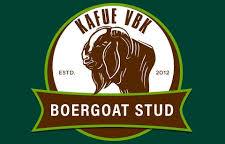 KAFUE VBK Boergoat STUD