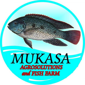Mukasa Agrosolutions and fish farm Ltd