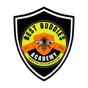 Best Buddies Academy