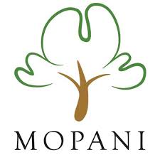 Mopani Copper Mines PLC