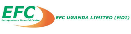 Entrepreneurs Financial Centre (EFC)
