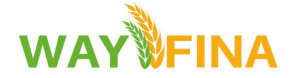 Wayfina Enterprises Ltd